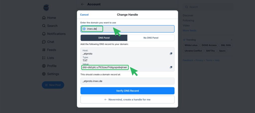 Screenshot of Bluesky Handle Settings